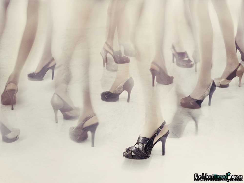 BCBG MAX AZRIA 2008ﶬVDƬ